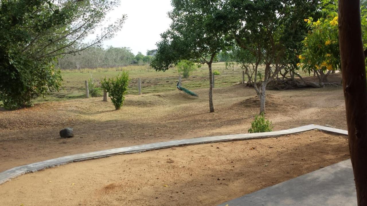 Taragala Chalets Kalametiya Esterno foto